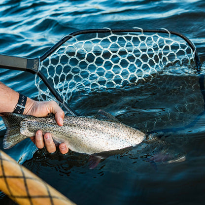 Rising Boat Net